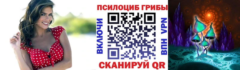 Галлюциногенные грибы Psilocybine cubensis  Ярцево 
