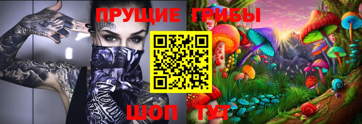 Псилоцибиновые грибы прущие грибы Ярцево